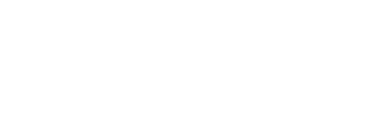 NeoWalls Logo White
